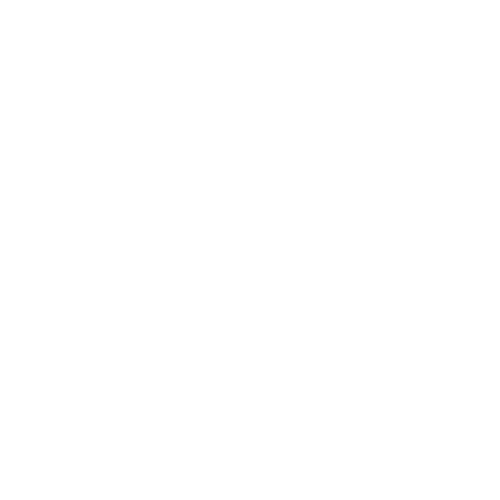 BDIGITAL 