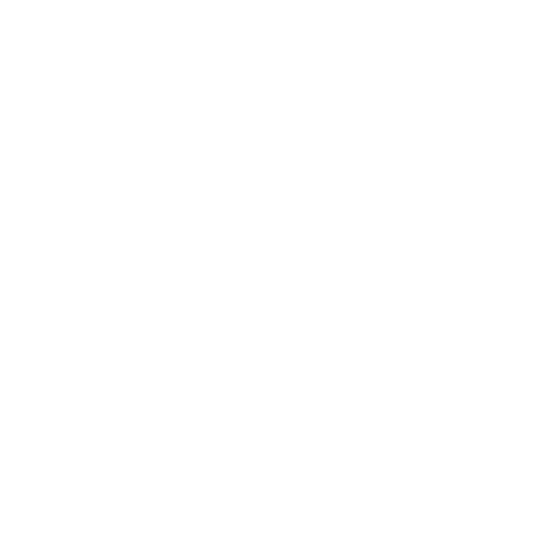 BDIGITAL 